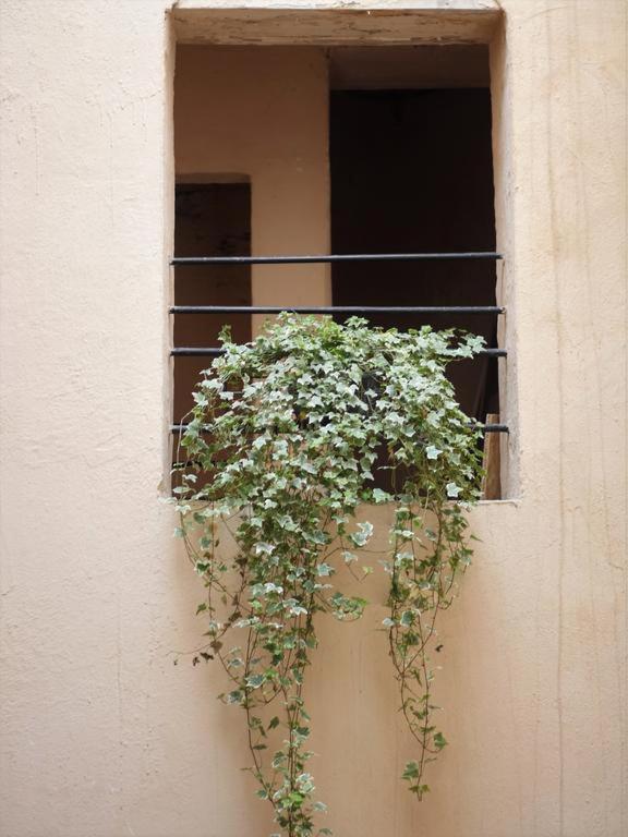 דירות בורדו Chemin Du Muguet מראה חיצוני תמונה